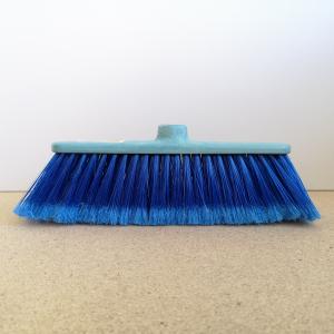 Aricasa Suzy  kék, sárga partvisfej